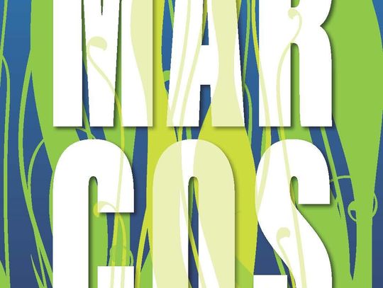 Keep San Marcos Beautiful shares $400,000 grant award