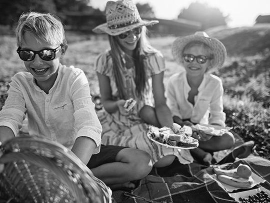 Key components of a fun picnic