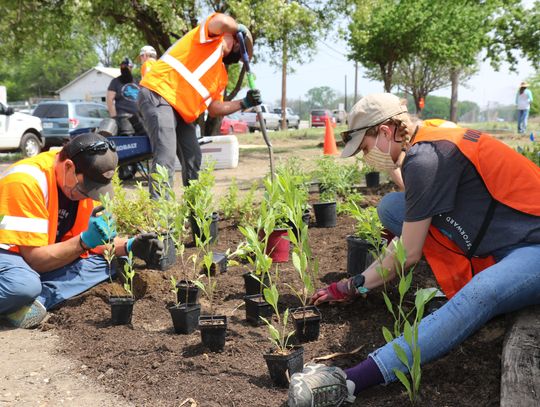 LCRA volunteers help beautify Downtown San Marcos