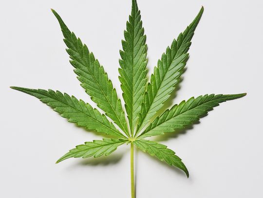 Local businesses concerned by DSHS clarification 