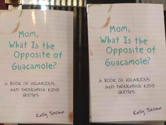 Local comedian, author Kelly Stone publishes debut humor book, reaches Amazon Top 10 list