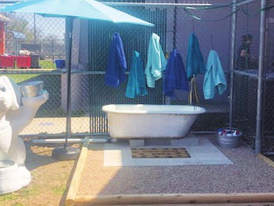 Local Eagle Scout helps regional animal shelter with project