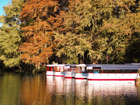 Meadows Center begins construction on new glass-bottom boat dock at Spring Lake 