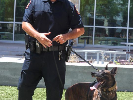 Meet Hays County K9 teams