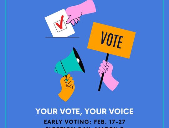 Meet the candidates for Hays County Judge