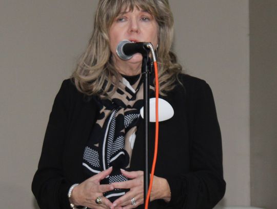 Mental Health Court topic of Rotary discussion