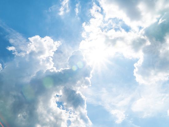 Our Pollinator Friends: Taking a closer look at the animals and insects that help the flowers grow