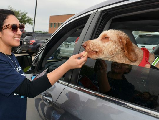 Over 250 served at first food distribution for people and pets