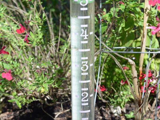 OVERNIGHT DOWNPOUR: San Marcos sees up to 5 inches of rain Wednesday morning