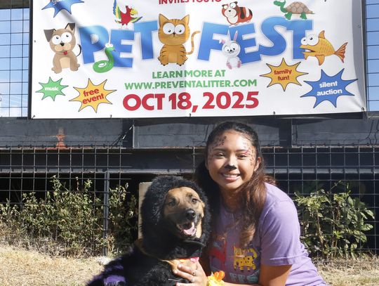 Paws, Claws & Costumes