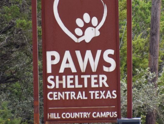 PAWS shelter in Kyle to remain open after community response