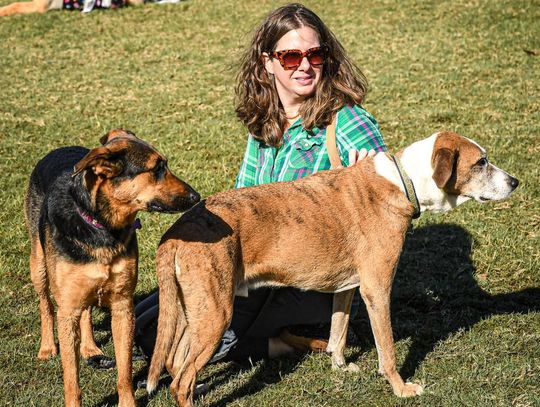 PET FEST FUN: Pets takeover San Marcos Plaza Park during 19th annual event