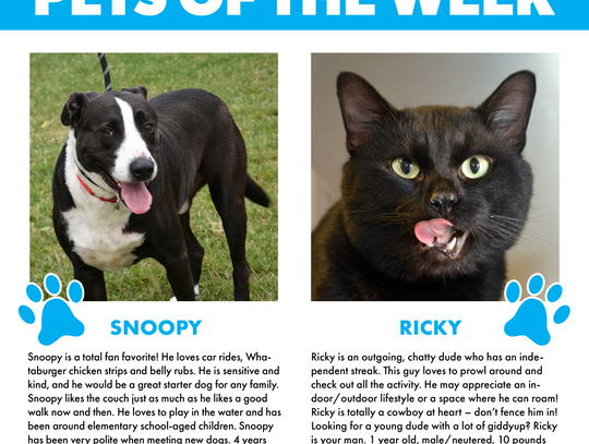 Pets Of The Week