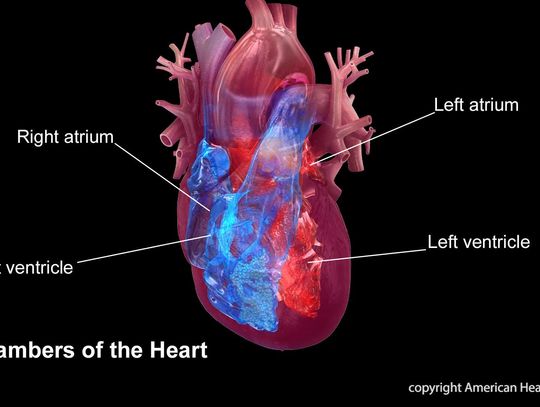 Predicting heart disease & stroke with a blood test