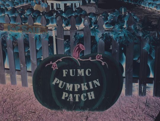 Pumpkin Patch is back at UMC