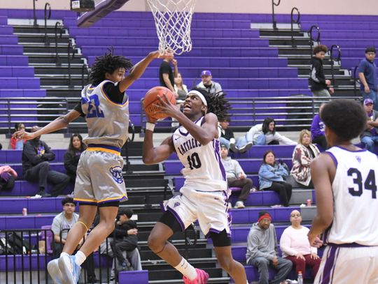 Rattlers fall to Buffaloes’ stampede