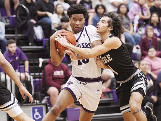 Rattlers spoil Steele’s district title hopes with senior night victory