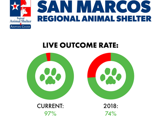 Regional Animal Shelter initiative shows 'Pawsitive' impact