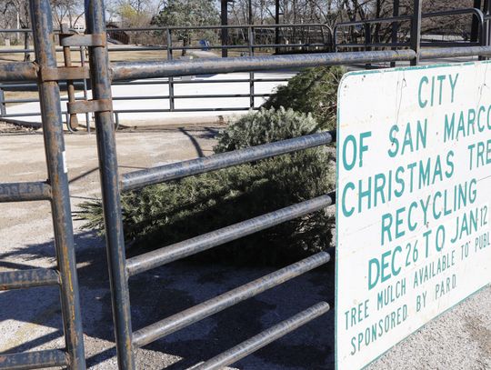 Residents have options for recycling live trees