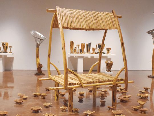Retired TXST Professor has retrospective showcasing works old, new and transformed
