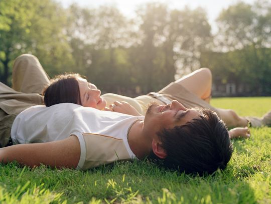 Ridding Lawns of STICKERS