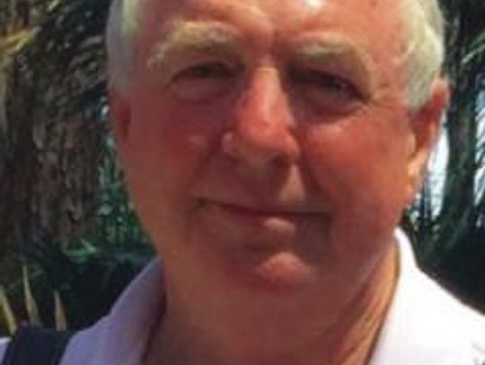 Rush for Blue Mohawk to be your container’s thriller plant