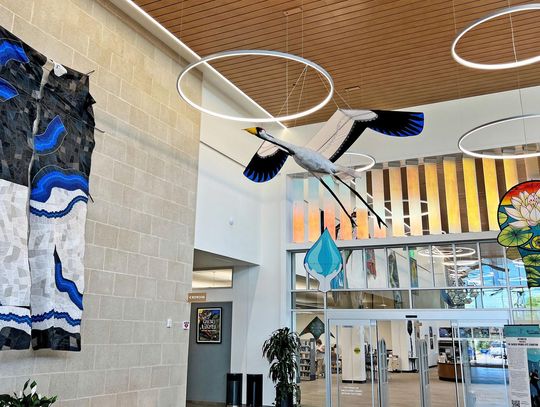 Sacred Springs Kite Exhibition comes to the library