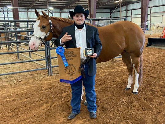 Hays County Livestock Show, SMCSID, Dripping Springs, San Marcos News, San Marcos Record