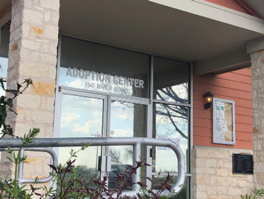 San Marcos Regional Animal Shelter closed to public,  microchipping event canceled
