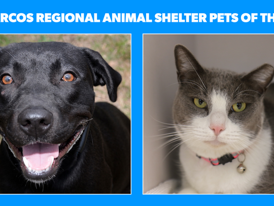 San Marcos Regional Animal Shelter Pets of the Week