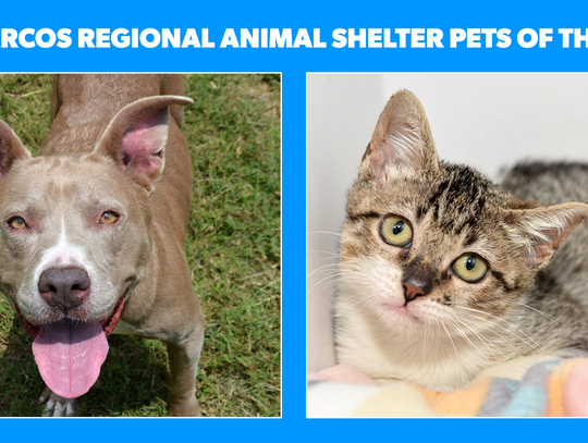 San Marcos Regional Animal Shelter Pets of the Week