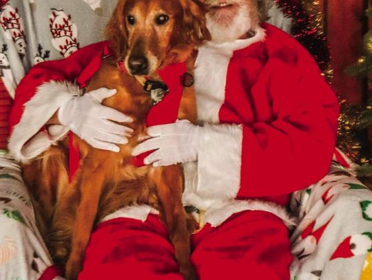 Santa Paws 2023