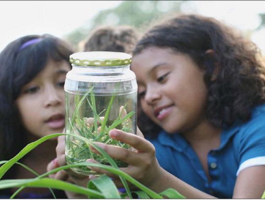 Seasons of Science brings free family science to local breweries
