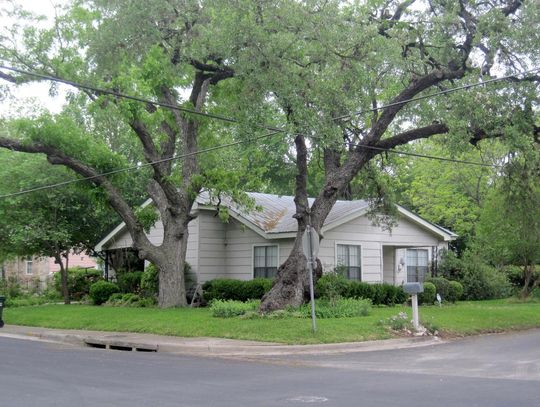 Shady trees & May blooms