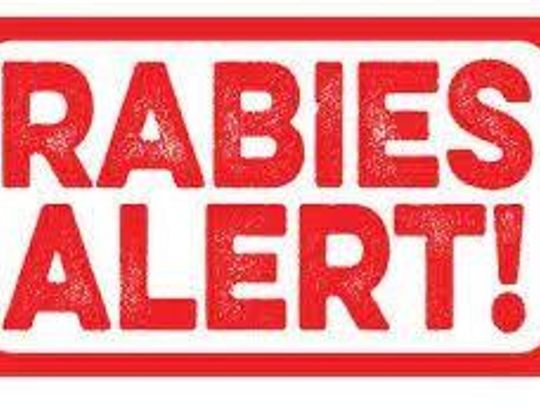 Sheriff’s office alerts Wimberley residents of rabies found in dead fox 