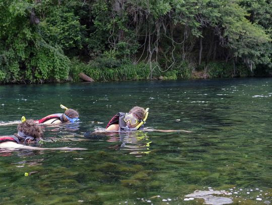 SNORKELING SAN MARCOS