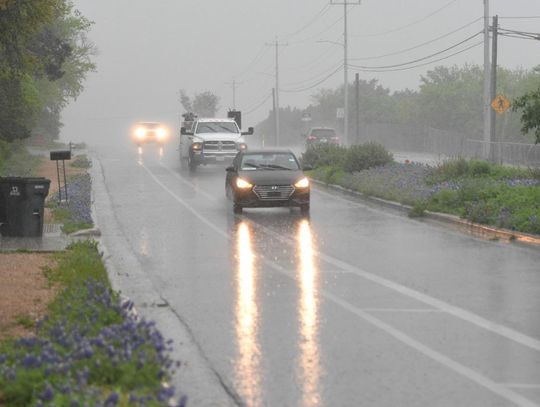 Spring weather comparison shows more rain is affecting vegetation