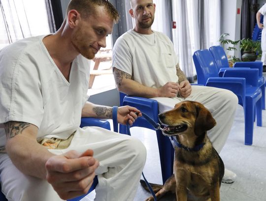 Sprung: Cell Dogs ‘graduate’ from time training behind bars