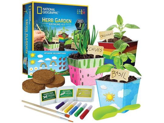 STEM HOT 10 - NATIONAL GEOGRAPHIC HERB GARDEN GROWING KIT