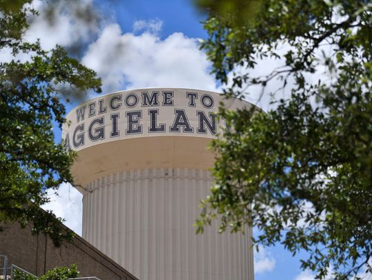 Texas A&M investigating "large scale" cheating case as universities see more academic misconduct in era of online classes