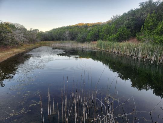 Texas State University System approves purchase of 128 acres adjacent to Spring Lake