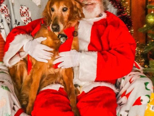 The Porch to host SANTA PAWS to benefit animal shelter 