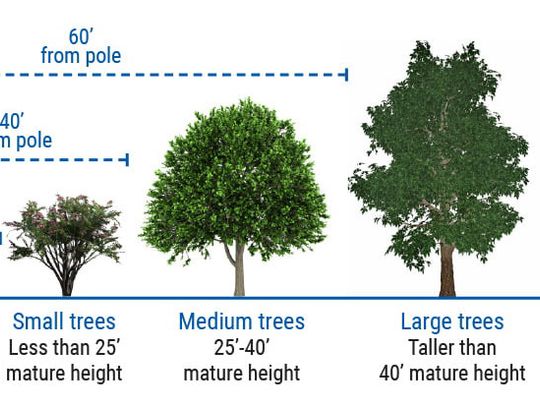 Tips for fall planting