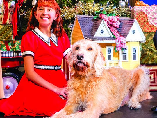 TPA’s Broadway in Austin adds ’Annie’ to 24-25 season lineup