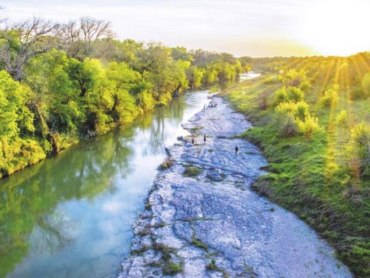 Tracking the health of the Hill Country