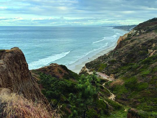 Trail Notes: Soul of a City