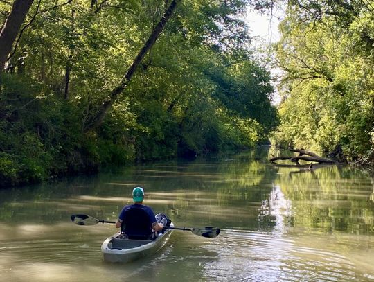 Trail Notes: Trail of the Year