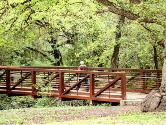 Trails planned to connect, conserve springs from Austin to San Antonio