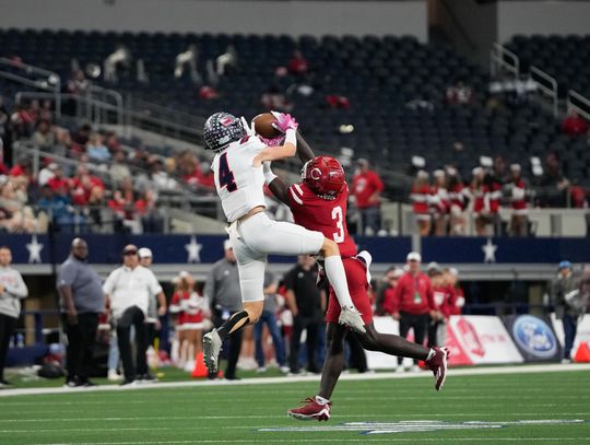 Turnovers doom Wimberley in state title game