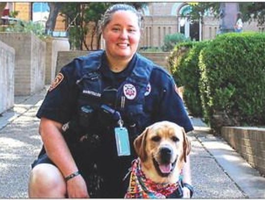 University therapy dog aids Maui wildfire victims